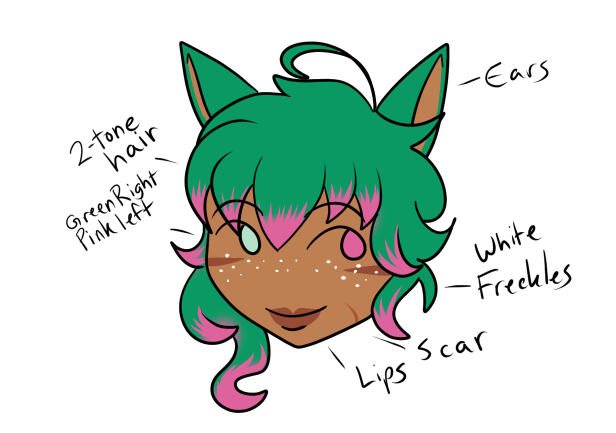 Simplified Doodle